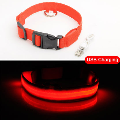 USB Charging Led Dog Collar